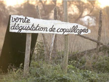 Pancarte en bois indiquant la direction de la dégustation de coquillages.